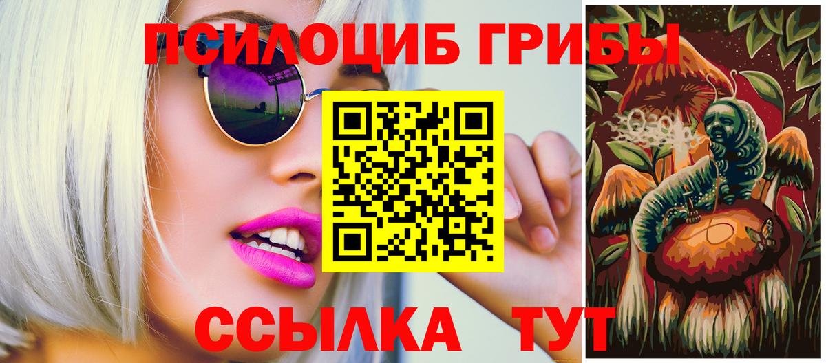 Галлюциногенные грибы мицелий  Галлюциногенные грибы MAGIC MUSHROOMS  Елабуга  где найти наркотики  Вход с VPN 